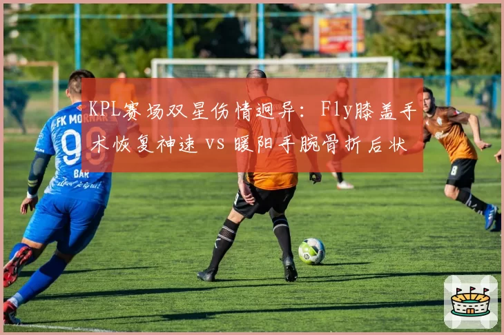 KPL赛场双星伤情迥异：Fly膝盖手术恢复神速 vs 暖阳手腕骨折后状态下滑明显