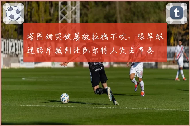 塔图姆突破屡被拉拽不吹,绿军球迷怒斥裁判让凯尔特人失去节奏