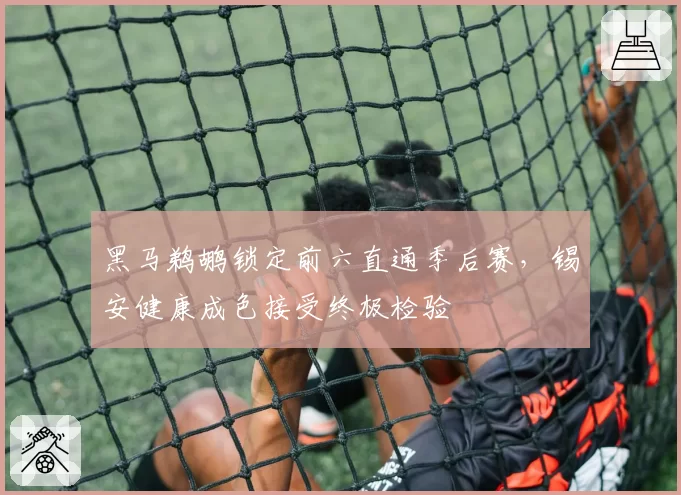 黑马鹈鹕锁定前六直通季后赛，锡安健康成色接受终极检验