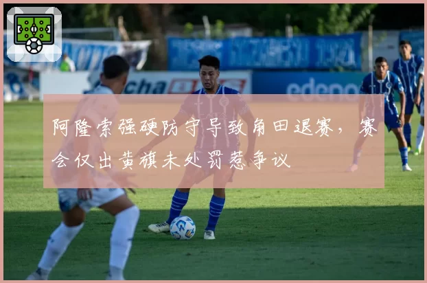 阿隆索强硬防守导致角田退赛，赛会仅出黄旗未处罚惹争议