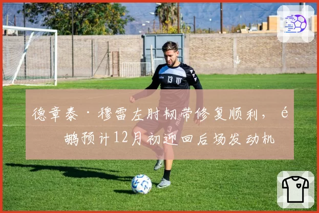 德章泰·穆雷左肘韧带修复顺利,鹈鹕预计12月初迎回后场发动机
