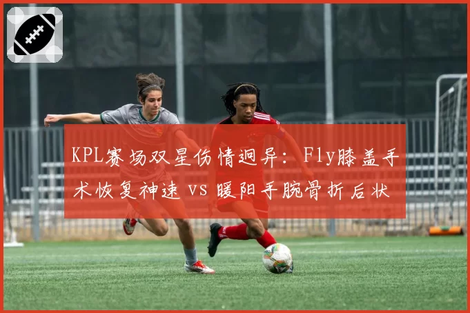 KPL赛场双星伤情迥异：Fly膝盖手术恢复神速 vs 暖阳手腕骨折后状态下滑明显
