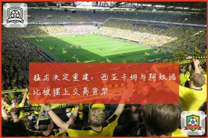 猛龙决定重建，西亚卡姆与阿奴诺比被摆上交易货架