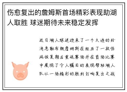 伤愈复出的詹姆斯首场精彩表现助湖人取胜 球迷期待未来稳定发挥